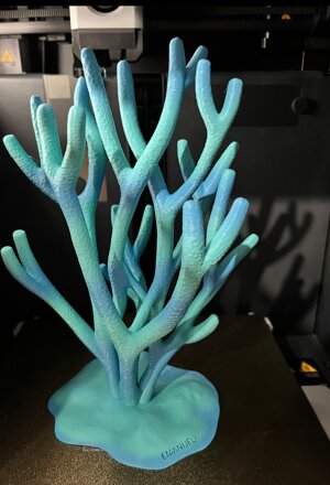 whatsapp image 2026-03-02 at 10